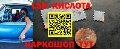 шишки Абакан