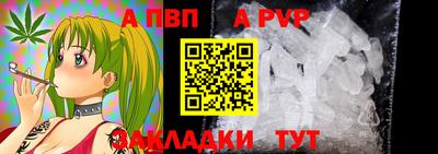 шишки Абакан