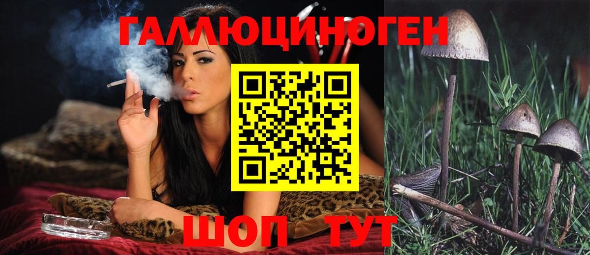 Галлюциногенные грибы MAGIC MUSHROOMS Алексин