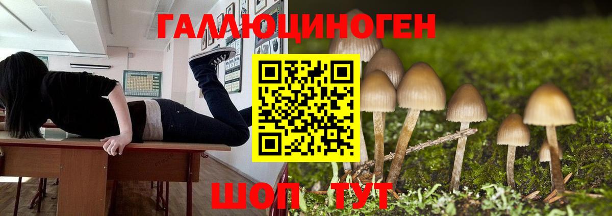 Алексин  Псилоцибиновые грибы мухоморы  Псилоцибиновые грибы ЛСД  Вход с VPN 